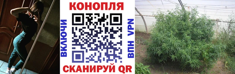 кракен ССЫЛКА купить наркотики цена Орёл Бошки Шишки конопля